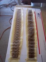100_8981.jpg