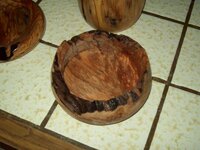 100_2026.jpg
