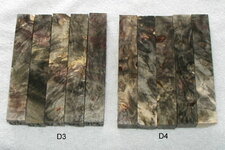 P1010004.JPG
