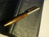 First Pen3.JPG