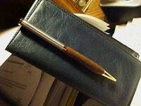 First Pen4.JPG