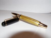 PC110100.jpg