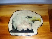 EaglePicture.jpg
