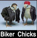 BikerChicks.jpg