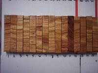 100_9086.jpg