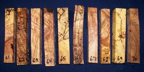 Red Oak 61-70.jpg