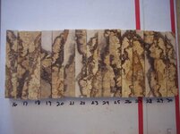 100_9104.jpg