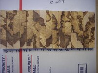 100_9106.jpg