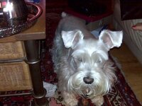 Blackberry pic.s057.jpg