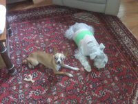 Blackberry pic.s046.jpg