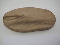 DSCF2066 (640x480).jpg