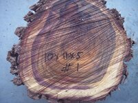 100_9120.jpg