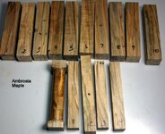 ambrosia maple (Medium).jpg