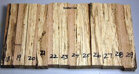 spalted oak 18 29 (Medium).jpg