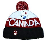 2010-toque-photo.jpg