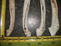 100_0927a.jpg