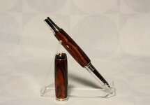 Desert Ironwood 5.JPG