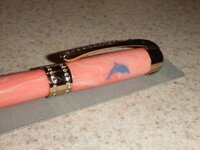 coral dolphin 2.jpg