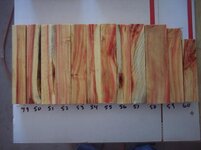 100_9202.jpg