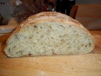 100_0264 (640x480).jpg