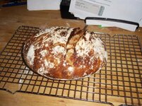 100_0271 (640x480).jpg