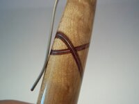 100_1796 (640x480).jpg