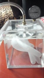 2012-01-10_17-22-36_813.jpg