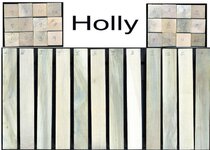 holly.jpg