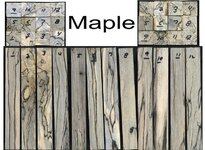 maple1.jpg