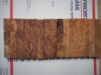 100_9264.jpg