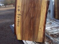 100_9290.jpg