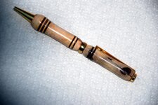 Pens - 1-17-11 Arthritic Manzanita over Antler 1.jpg