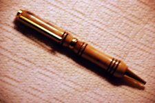 Pens - 1-17-11 Mananita over Manzanita 4.jpg