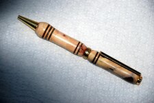 pens - 1-17-11 Arthritic Manzanta over Manzanita 2.jpg