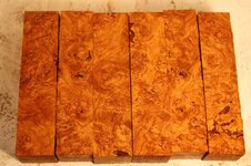 afzelia burl shorts.jpg