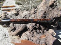 bocote pen 1.jpg