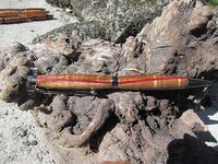 curly koa purple heart.jpg