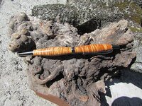 curly koa pencil.jpg