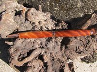 curly sugi 1.jpg
