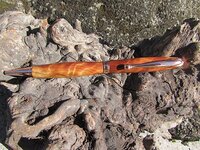 curly sugi 2.jpg