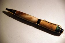 Pens - 1-21-12 Wine Cork over White Tail 1.jpg