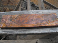 DSCF3027.JPG