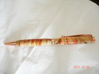 DSC07910.jpg