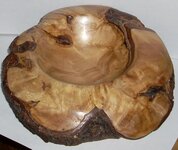 DSCN0362.jpg