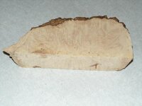 box elder burl chunk.jpg