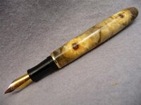 P1010428 (Medium).JPG