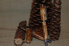 pinecone 003.jpg