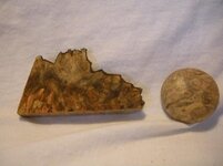 mystery burl.jpg
