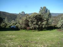 DSC00635.jpg