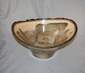 IMG_2935.jpg